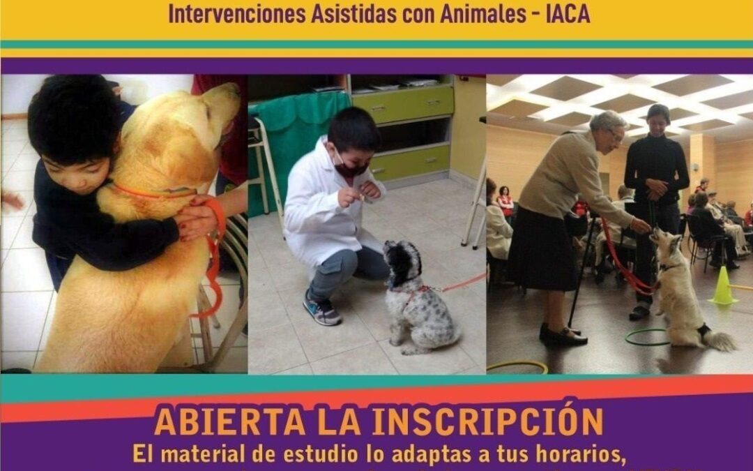 Curso de formación en intervenciones Asistidas con Animales.